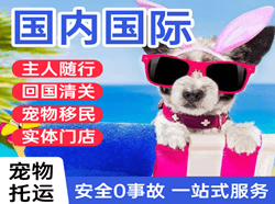 北京航空运输国际宠物托运 【国